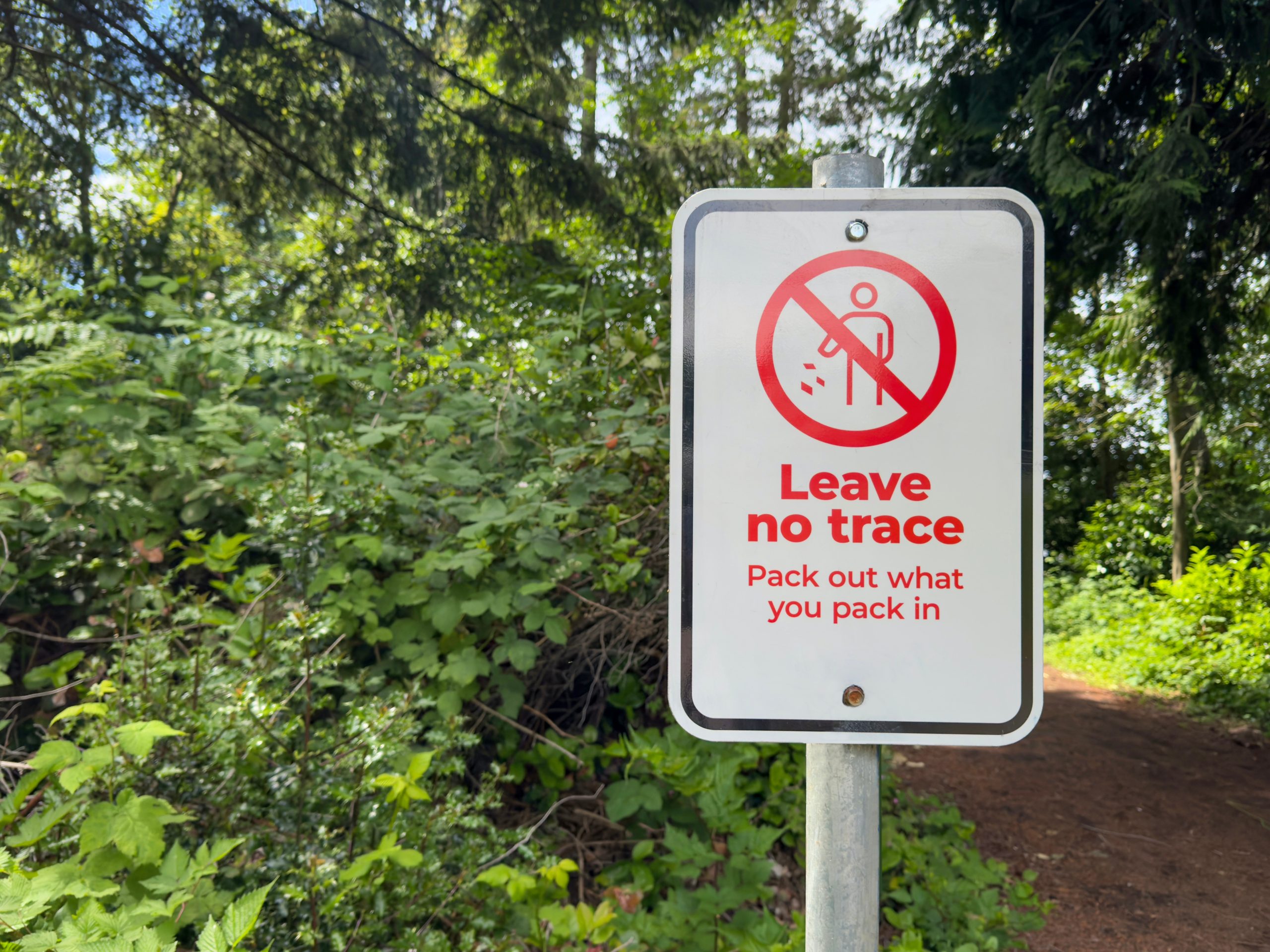 Leave No Trace Questions and Answers — What It Means and Why It Matters